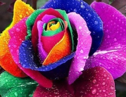 生肖|不爱化妆的3位生肖女,总以素颜淡妆示人,却显得优雅大方