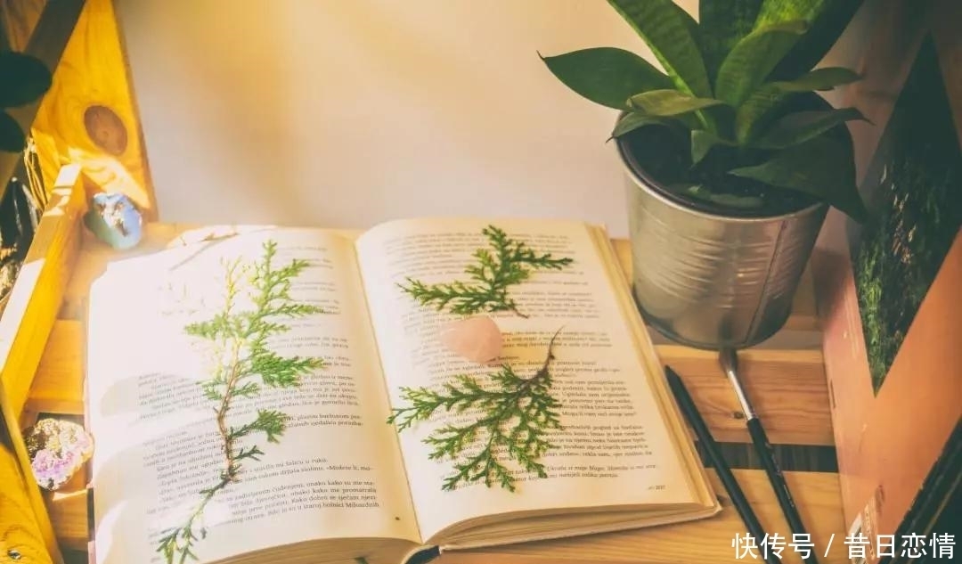 断舍离清单:你最该扔掉的24样东西,没用还占地方,别再犹豫了