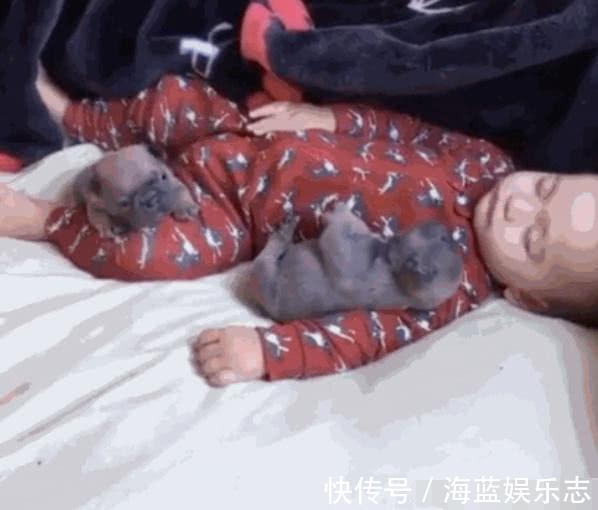 小主人|宝妈哄3岁宝宝午睡,半个小时后再来看宝宝,这画面太温馨了