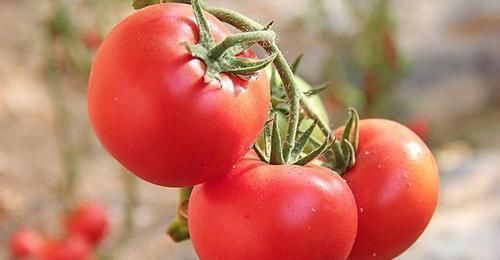 排毒|肝毒“重”的人,身体3处是“黑”的,如果你也有,尽早排毒