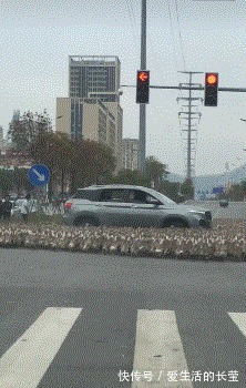 |搞笑GIF:给媳妇买的生日礼物刮胡刀,她高兴的像个孩子!