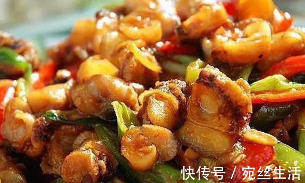 河虾|美食推荐红烧海螺，辣炒排骨，红焖鸡翅，油爆河虾的做法