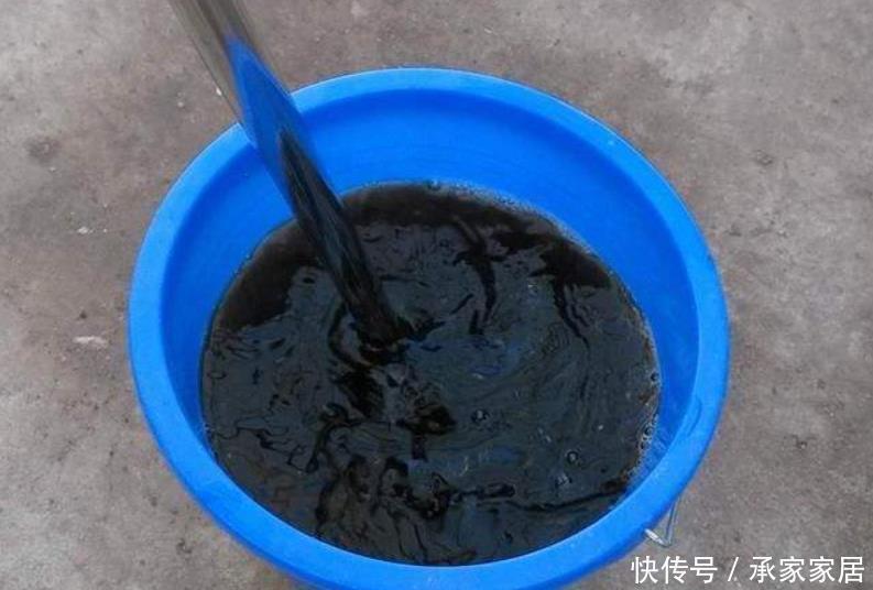 草木灰|冬天养花保暖有“妙招”,2种“小东西”浇花盆,给它增加抗寒性