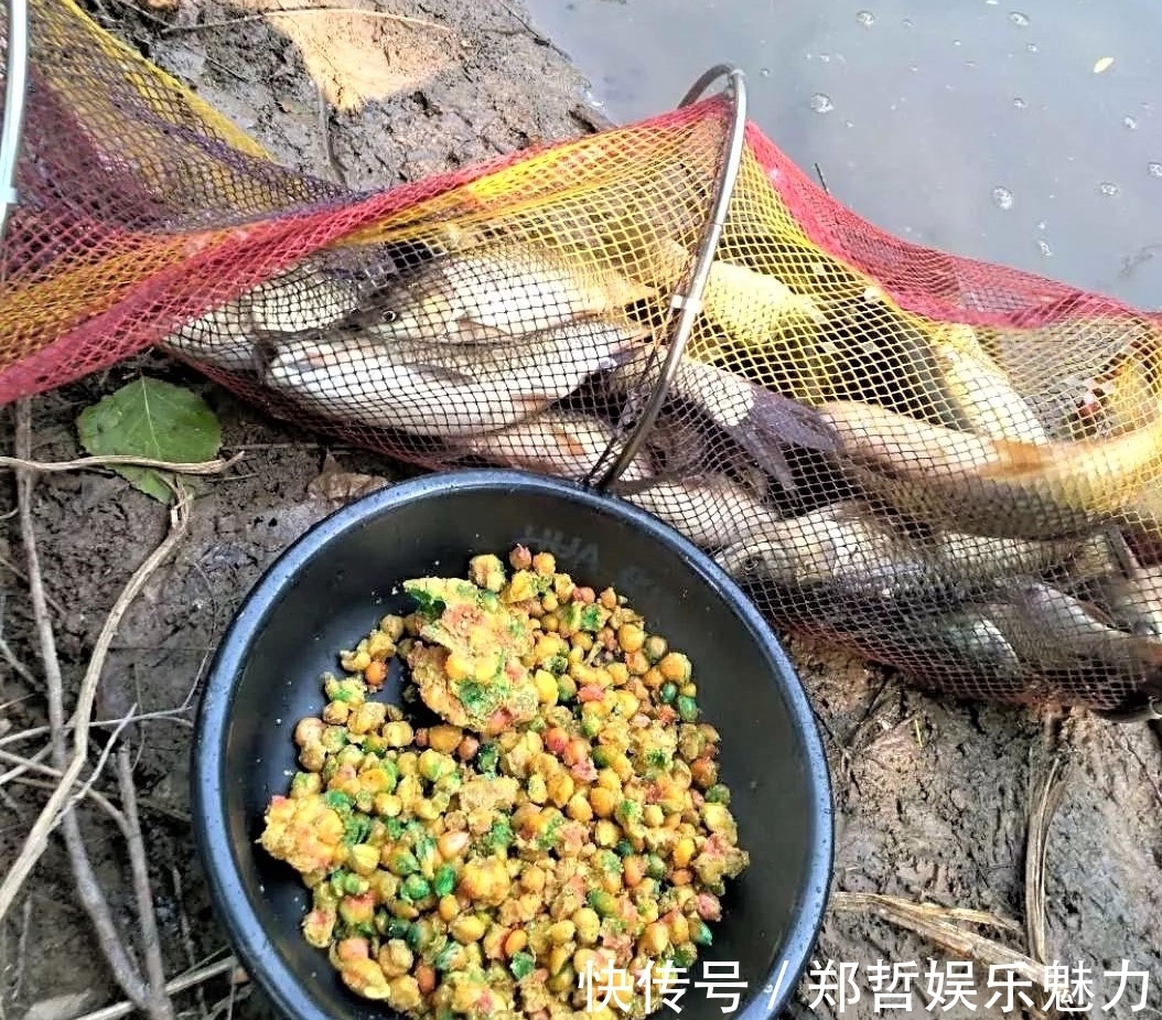 雾化|别人用玉米钓鱼收获满满,你用玉米钓鱼空军,原来这些细节没注意