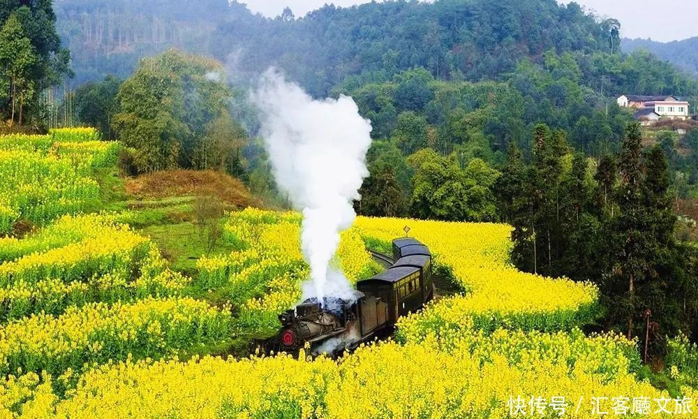 淋一场烟雨，遇一场花事，9个三月花海刷屏的地方