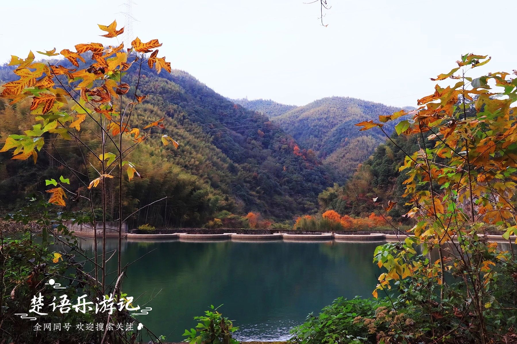 四明山|村里清溪村外山，浙江四明山里这个古村景美如画，竟有中村的意境