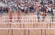 |搞笑GIF:这样的包饺机你没见过吧,包出来饺子非常匀称漂亮美观