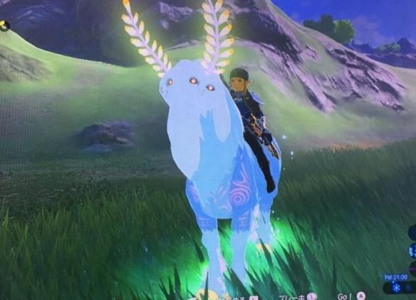 荒野之息山神刷新规律