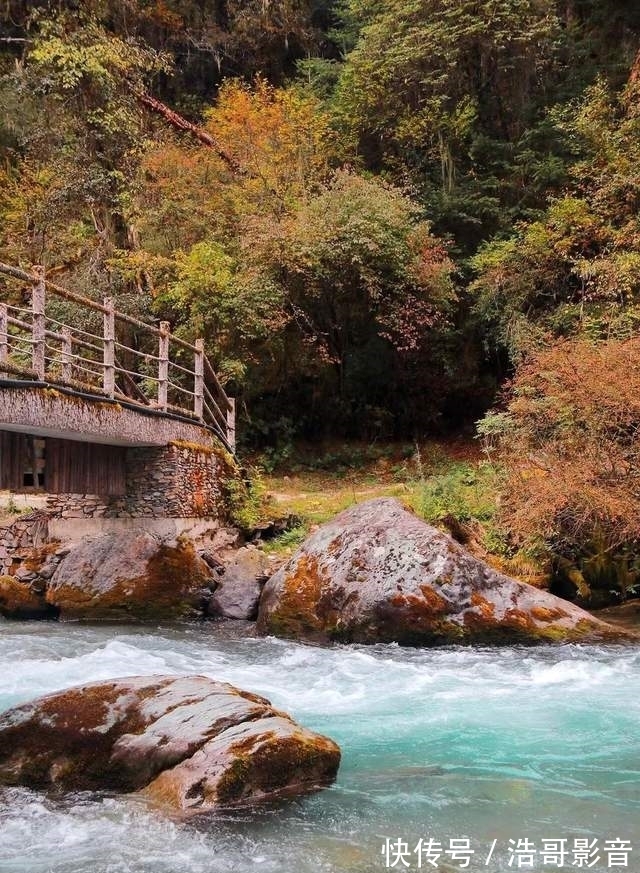 原始森林|「邓生沟」走进原始丛林·找寻秋的踪迹