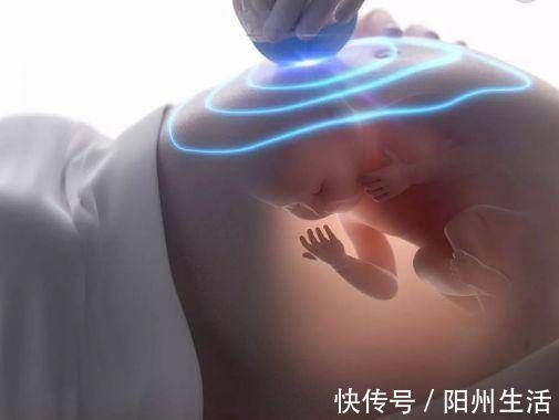 新手妈妈|孕中期,若腹中胎儿有这3个“暗示”,可能你怀的是个“小天才”