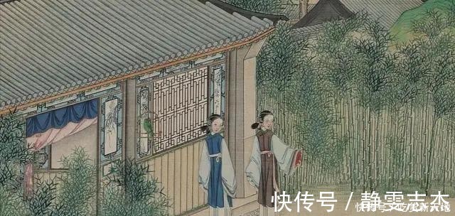 当铺|薛姨妈是一个40多岁的寡妇,为何会对一个60多岁的男人另眼相看