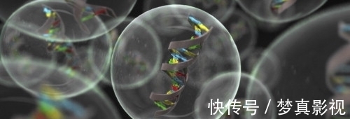 世界第一|癌症或不再是“不治之症”？中国传出重磅喜讯，治癌关键一步跨出