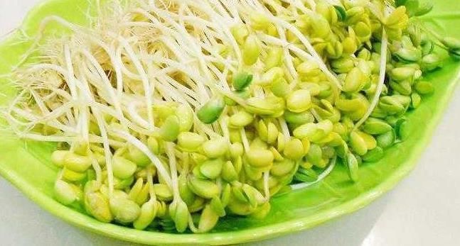 羊角蜜甜瓜|女人想皮肤好,不妨多吃此食物,滋养子宫,保护肠胃,肌肤更细嫩