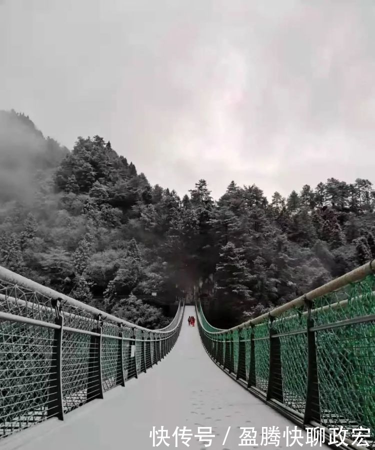 实在|贵州旅游｜贵州下雪啦！这些雪景图实在太美了！你那边下雪没？