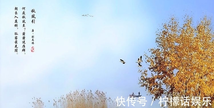 萧萧|秋意落,雁声远,独留孤客挂心间