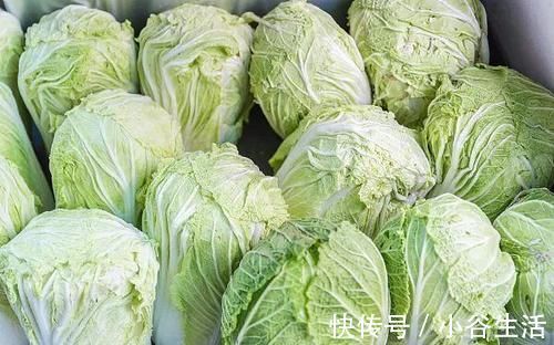 喷洒过甲醛的白菜，都会有这3个特点，看完再也不会买错了
