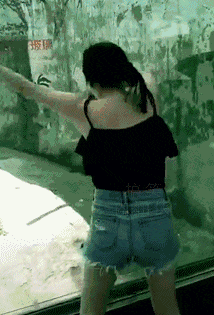 |搞笑gif:对于这种长着虎牙的妹子没有一点抵抗力,哈哈哈