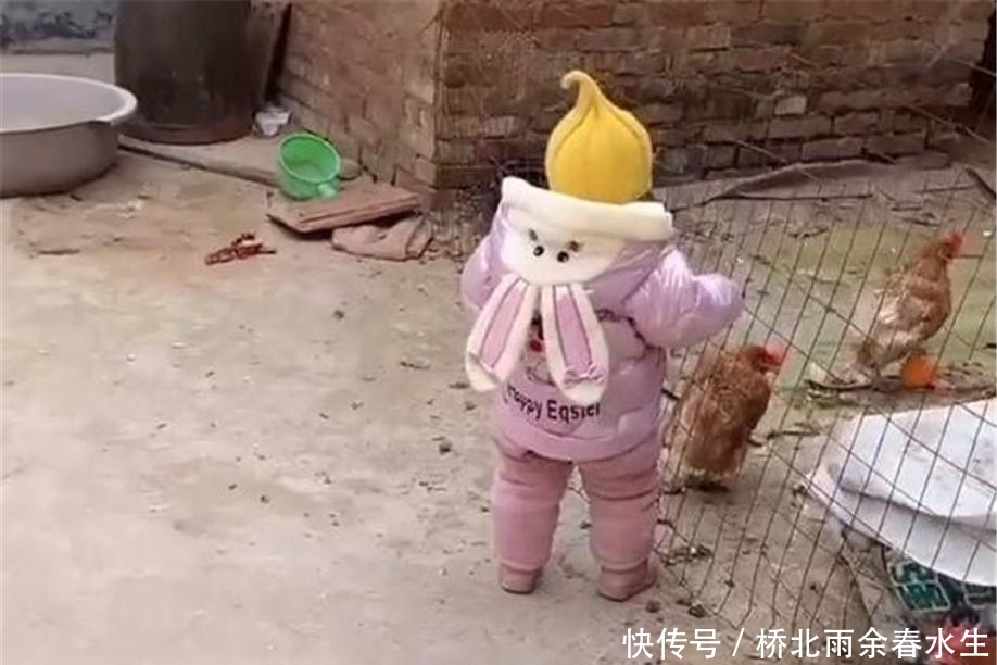 双胞胎宝宝分开养,城里妈妈带的还不会走,乡下奶奶带的撵着鸡跑