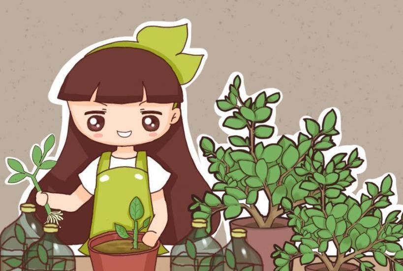 家里面的盆栽这样处理,不仅节省空间,家里面也好看了不少!