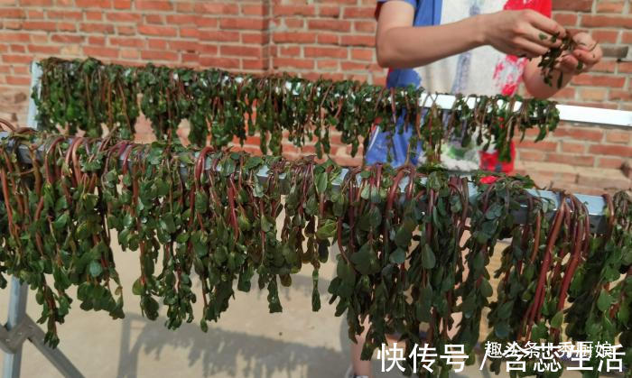 手软|夏天,碰到此菜别手软,一次囤上20斤,晒干储存起来,冬天吃特香