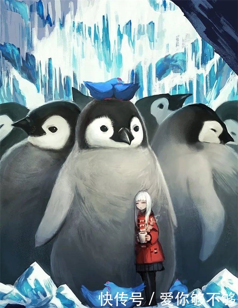 插画|三组各具特色的动物插画,看完很治愈~