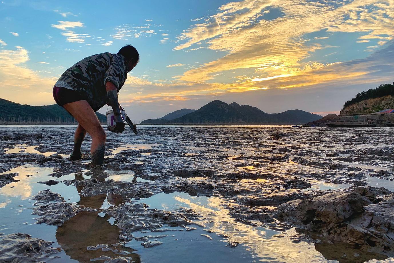 海鲜|浙江一个世外小渔村，面朝大海与世无争，一个来了就不想走的地方