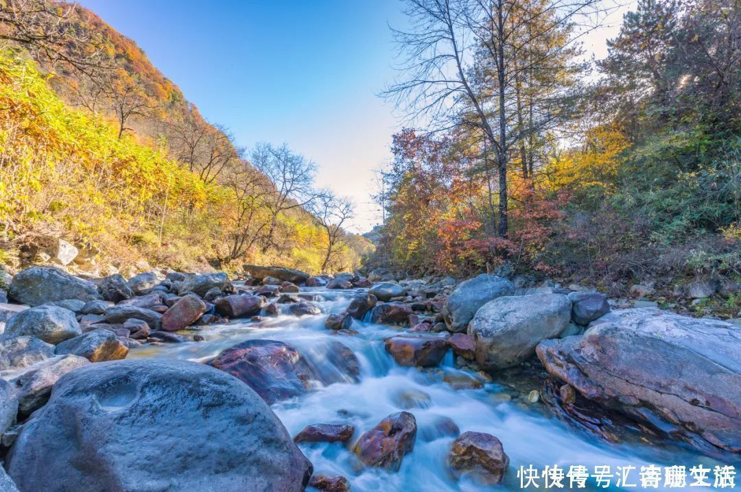 满山|秦岭深处满山红遍，绚丽多彩，惊艳着整个秋天