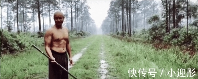 超级先生|乐嘉近况被曝生活滋润,养万元纯种大型犬!因劣迹太多曾被封杀!