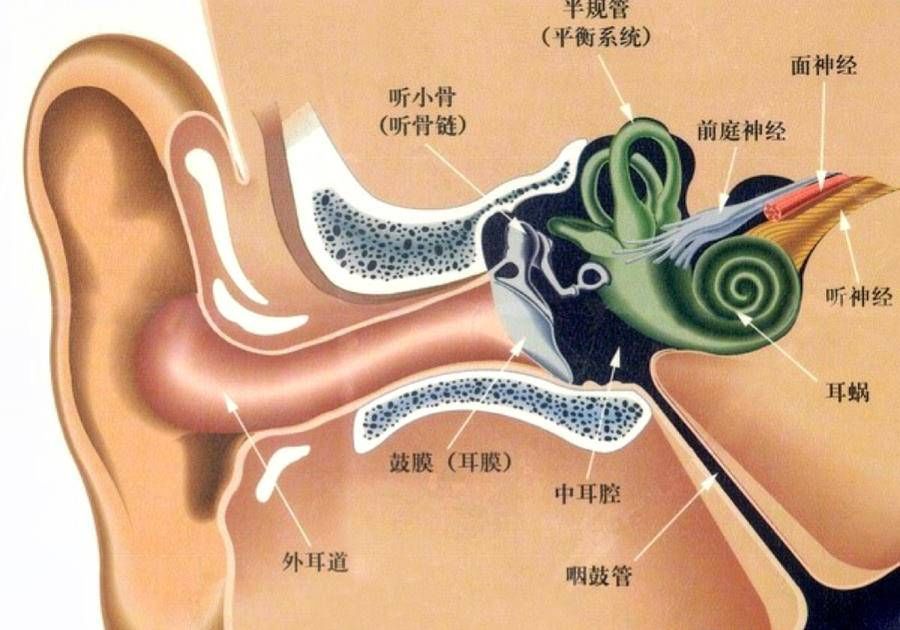 中耳|别拿中耳炎不当回事，当心发展成鼓室硬化症