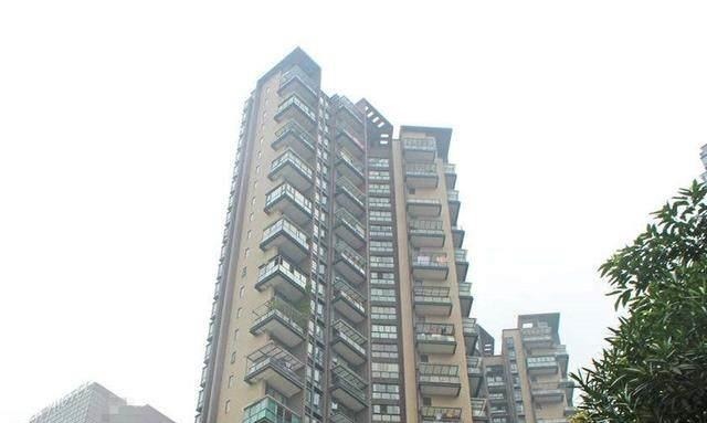 电梯|买房选一梯两户还是两梯四户专业人士透露,看完再买不留遗憾!