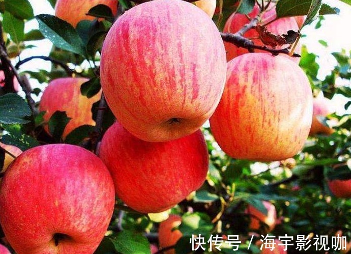 好处|每天晚上坚持吃的食物，美白护肤、滋润身体，好处多多