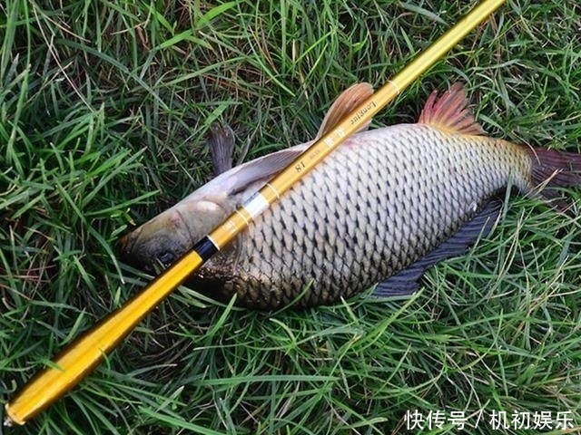 水广鱼稀没渔获教你4招让你一眼就找到鱼窝