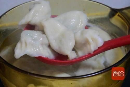 腊月必吃这个馅的饺子！比韭菜香比猪肉鲜，爽嫩开胃吃2盘都不够