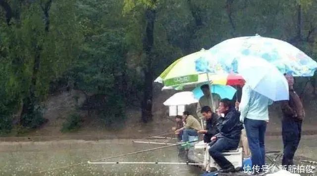 氧气|夏天一到,鱼就难钓碰到两种天气,够你狂拉一整天,不信就试试