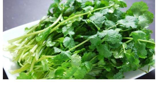 甲状腺|香菜真的能恶化甲状腺结节？听医生解释，常喝一草根水，结节消散