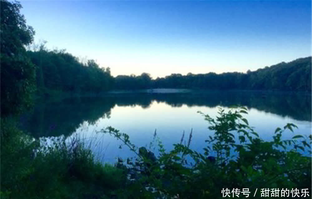 晚春钓鲫鱼的“非常规”方法,用七星漂钓浮,只在这阶段才好使!