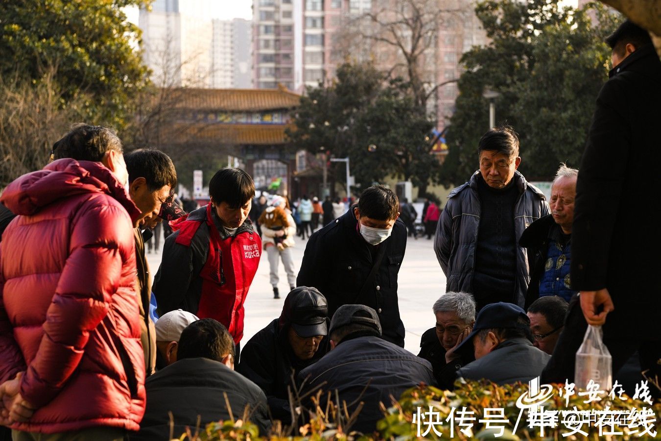 客户端讯|安徽淮南：龙湖公园迎落霞 市民周末享春光「组图」