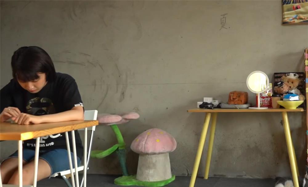 家居用品|东北小夫妻住了3年毛坯房,简不简陋不清楚,但是家居用品真全乎