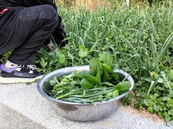 清汤|二哥今天做的鸳鸯火锅 耗儿鱼虾球午餐肉一大桌 清汤红汤都有大口大口吃真过瘾