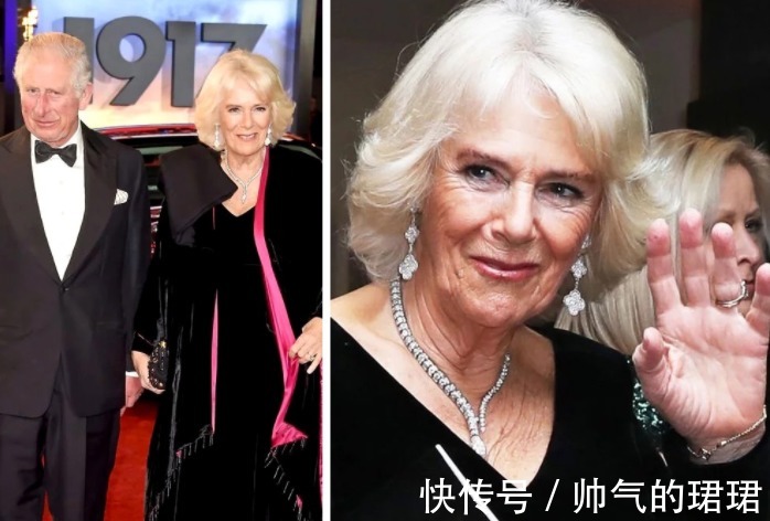 伊丽莎白 卡米拉的蛇形项链20年前做情人时查尔斯送的,蛇蝎气质一目了然