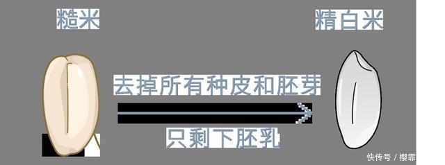 中国人吃的白米饭,其实是“最差的主食”原来这么多年都吃错了