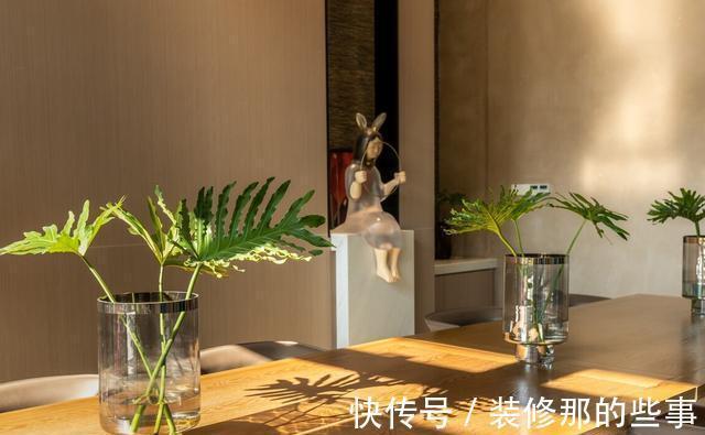 橡皮树|天越来越热,以下绿植却没有休眠,多浇水多施肥,反而生长快