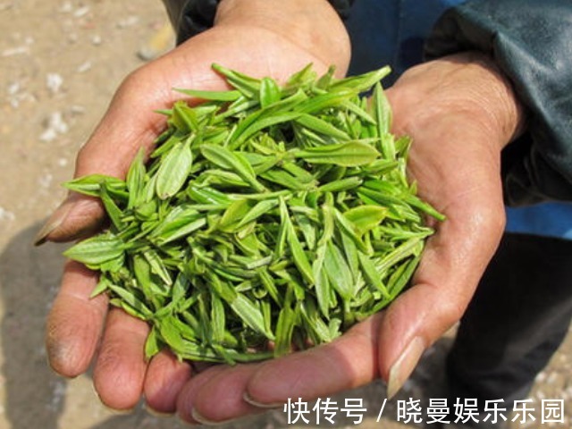 见效|痛风实在是太痛了,一个治痛风的小方子,好喝见效快,太棒了