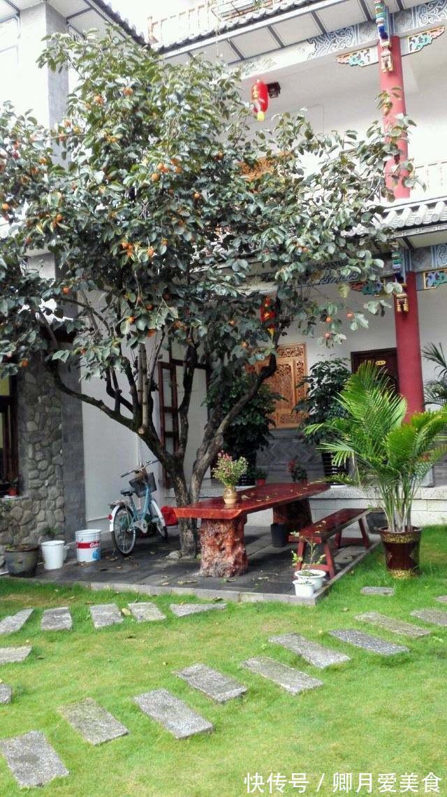 牡丹花|家有五树,儿孙都富!有院子建议栽5种树,看花,收果,寓意吉利