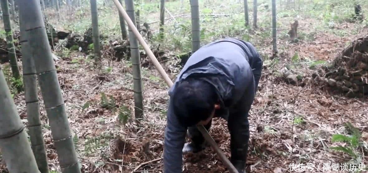 村民挖竹笋发现古墓塔不见了，却被盗墓贼拿来当茶几，考古家服了