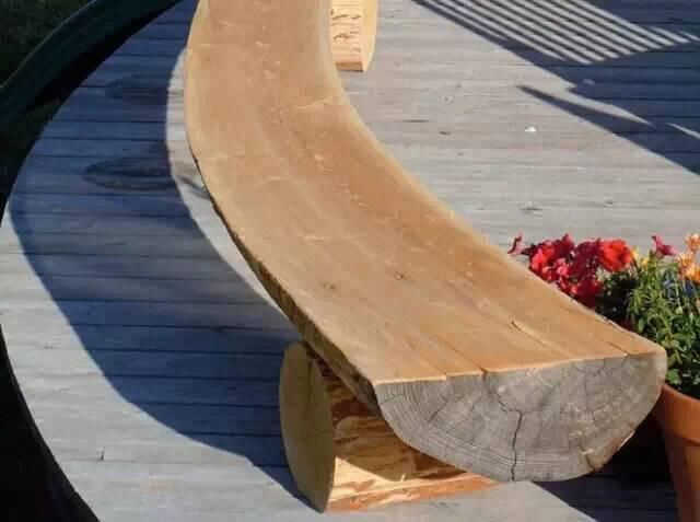 树木|树木切割是一门艺术