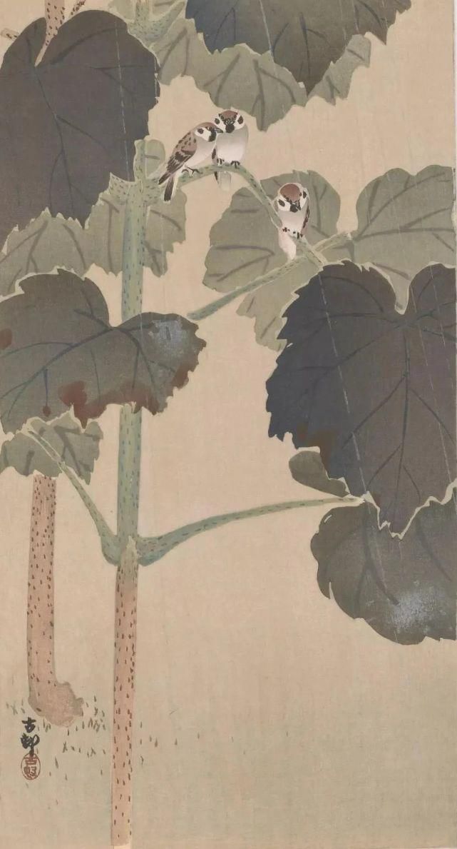 日本绘画大师的花鸟画，淡雅清新