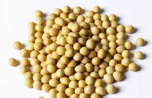 莲子|每天喝一碗益寿养心粥,大补气血,养心护心,心脏更健康