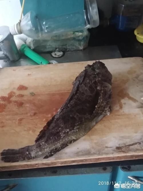  海鲜|大家吃过的长相最奇葩的海鲜都有哪些，怎么做的？好吃么？