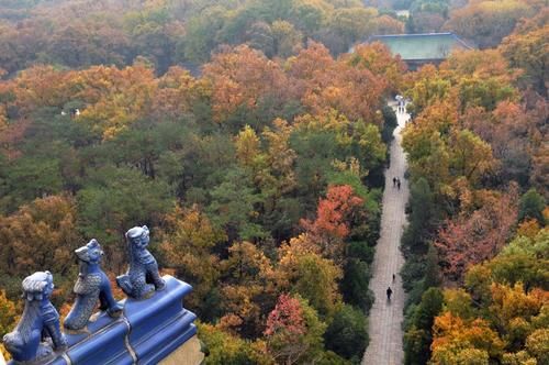 南京一座全国重点寺庙，成为国家5A级旅游景区